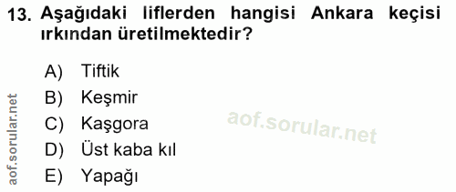 Soru 13