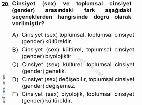 Soru 20