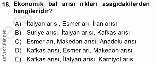 Soru 18