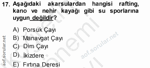 Soru 17