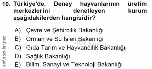Soru 10