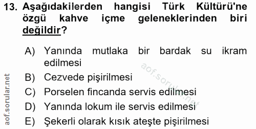 Soru 13