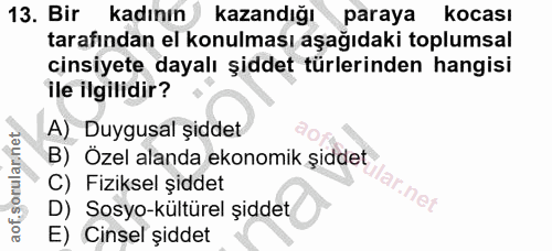 Soru 13