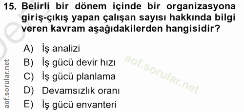 Soru 15