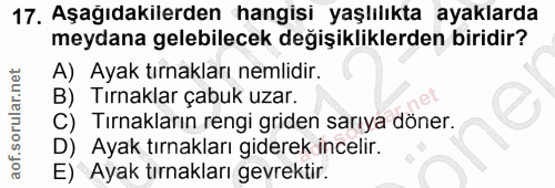 Soru 17