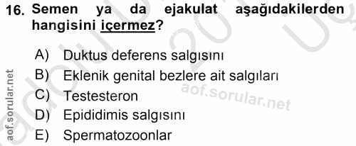 Soru 16