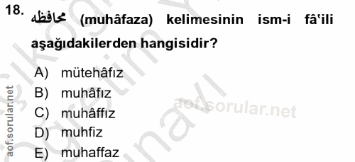 Soru 18