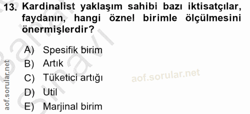 Soru 13