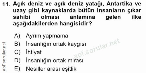 Soru 11