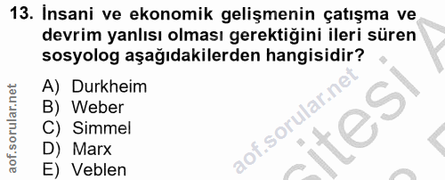 Soru 13