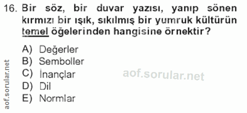 Soru 16