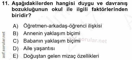 Soru 11