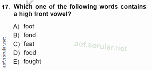 Soru 17