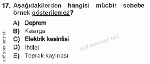 Soru 17