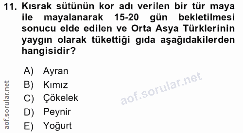 Soru 11