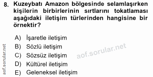 Soru 8