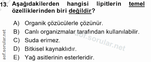 Soru 13