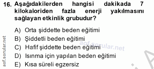 Soru 16