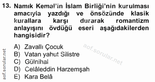 Soru 13