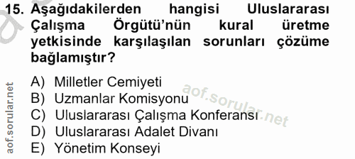 Soru 15