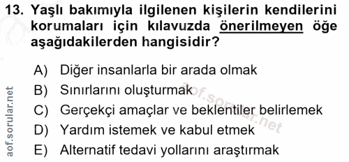 Soru 13