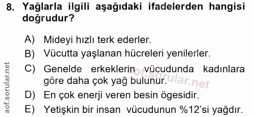 Soru 8