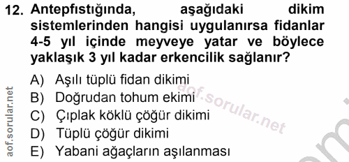 Soru 12