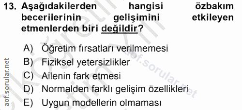 Soru 13