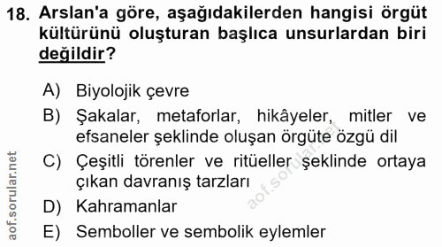 Soru 18