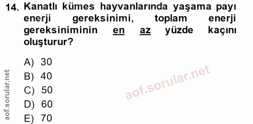 Soru 14