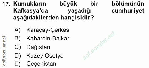 Soru 17