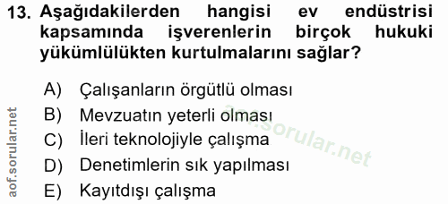 Soru 13