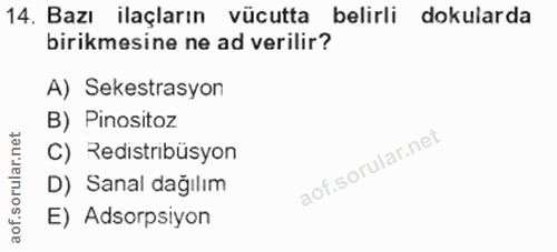 Soru 14