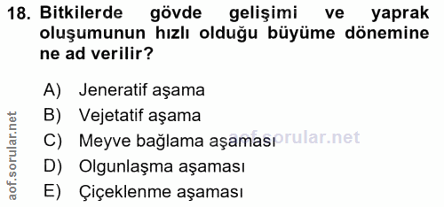 Soru 18