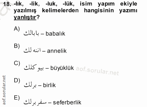 Soru 18