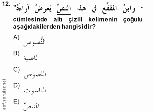 Soru 12