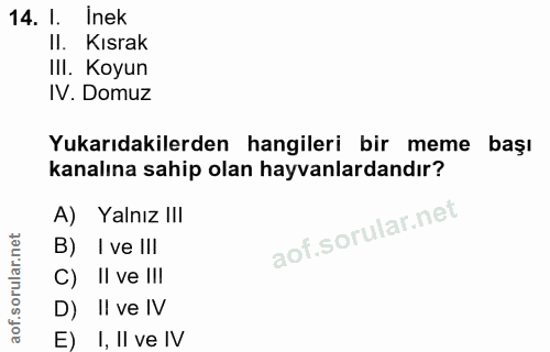 Soru 14