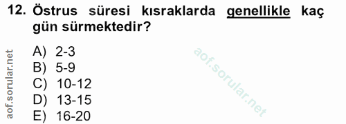 Soru 12