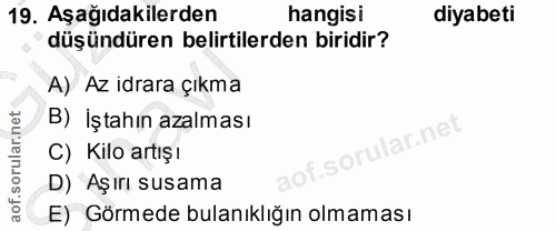 Soru 19