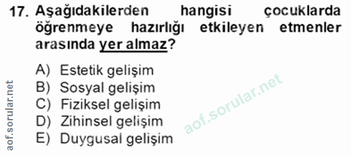 Soru 17