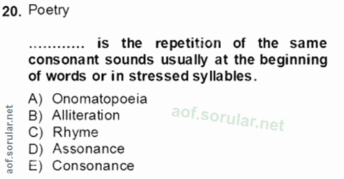 Soru 20