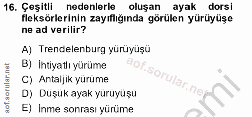 Soru 16