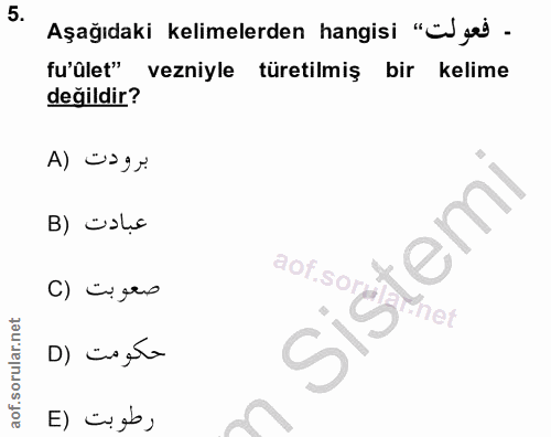 Soru 5