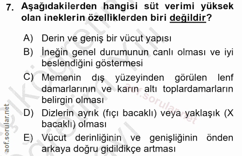 Soru 7