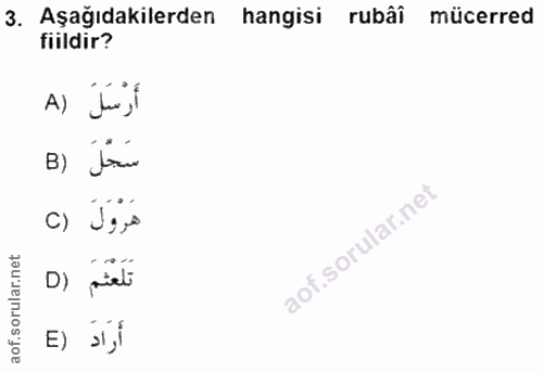 Soru 3