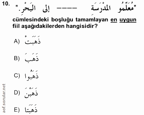 Soru 10