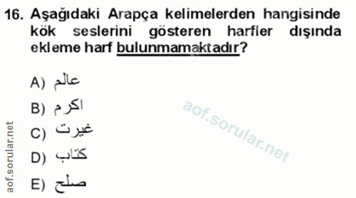 Soru 16