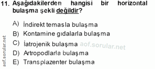 Soru 11