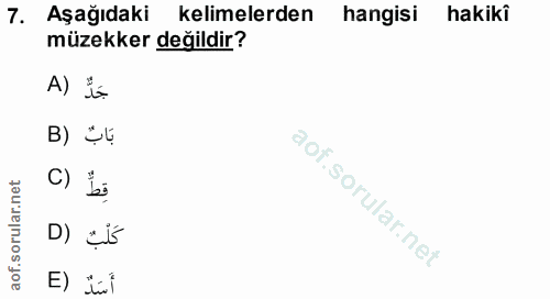 Soru 7