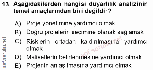 Soru 13